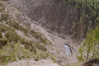 Le Conseil des Etats a voté pour 100 millions de plus pour l’adaptation des forêts aux changements climatiques (photo d'illustration). KEYSTONE/ARNO BALZARINI